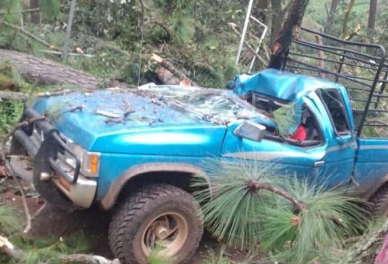 Un hombre pierde la vida y una mujer queda herida tras caerles un árbol en Tingambato