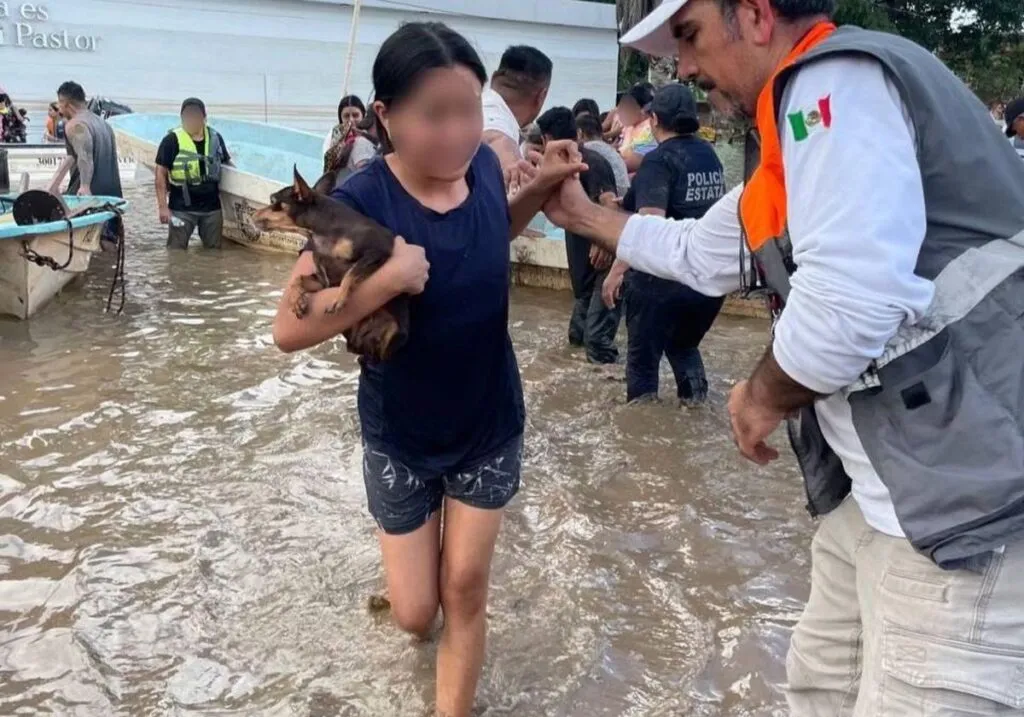 37 muertos y más de 50 mil viviendas afectadas por fuertes lluvias en México-2