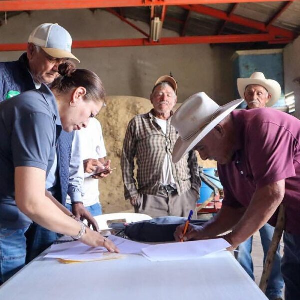 Mónica Valdez impulsa acciones para fortalecer la producción agrícola en Zacapu, entregan apoyos a productores