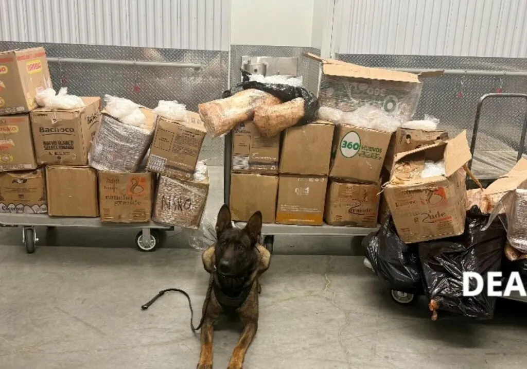 Aseguran en EE.UU. más de 900 kilogramos de metanfetamina vinculada al CJNG