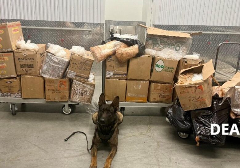 Aseguran en EE.UU. más de 900 kilogramos de metanfetamina vinculada al CJNG