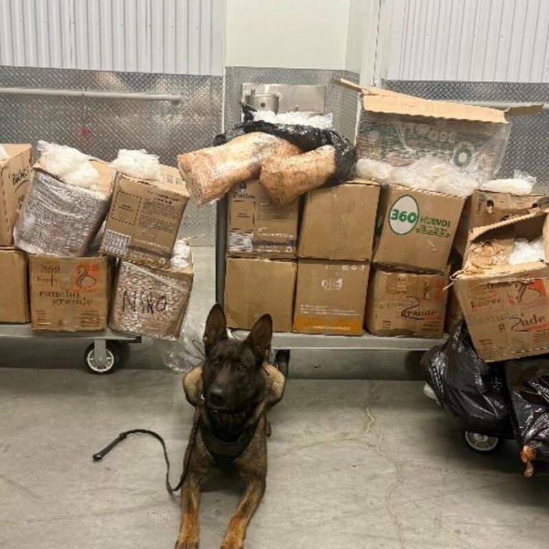 Decomisan 907 kg de metanfetamina del CJNG en EEUU