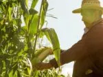 Campesinos y ejidatarios marcharán mañana en Morelia