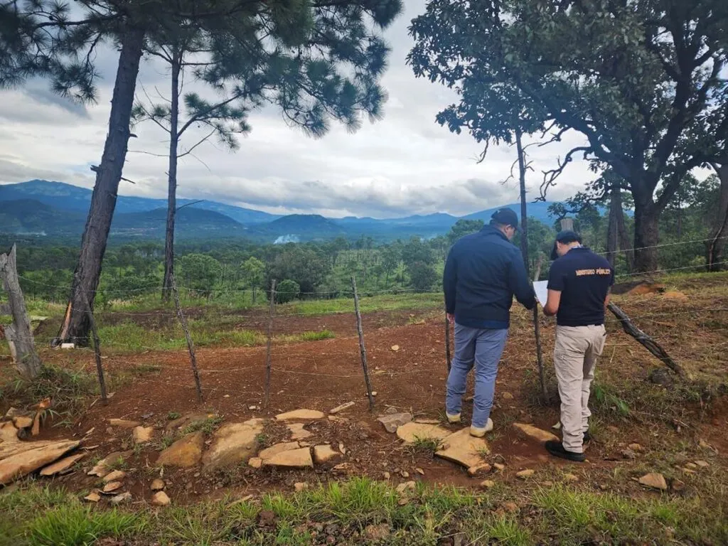 catean predio relacionado con delito ambiental en Ziracuaretiro