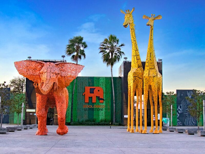 Clausuran el zoológico La Pastora ante malas condiciones de salud de la osa Mina