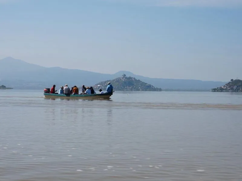 Compesca libera 30 mil crías de pez blanco y acúmara en el lago de Pátzcuaro