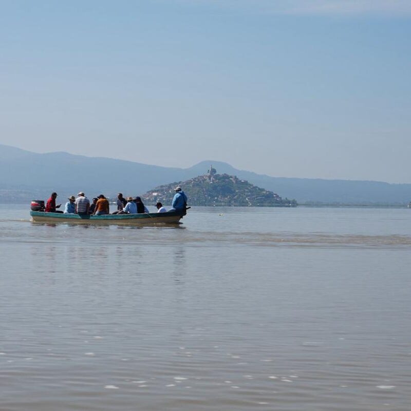 Compesca libera 30 mil crías de pez blanco y acúmara en el lago de Pátzcuaro