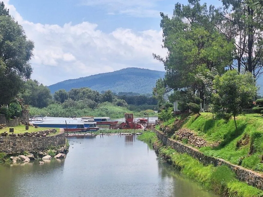 Compesca prepara muelles y canales del lago de Pátzcuaro para Noche de Muertos-2