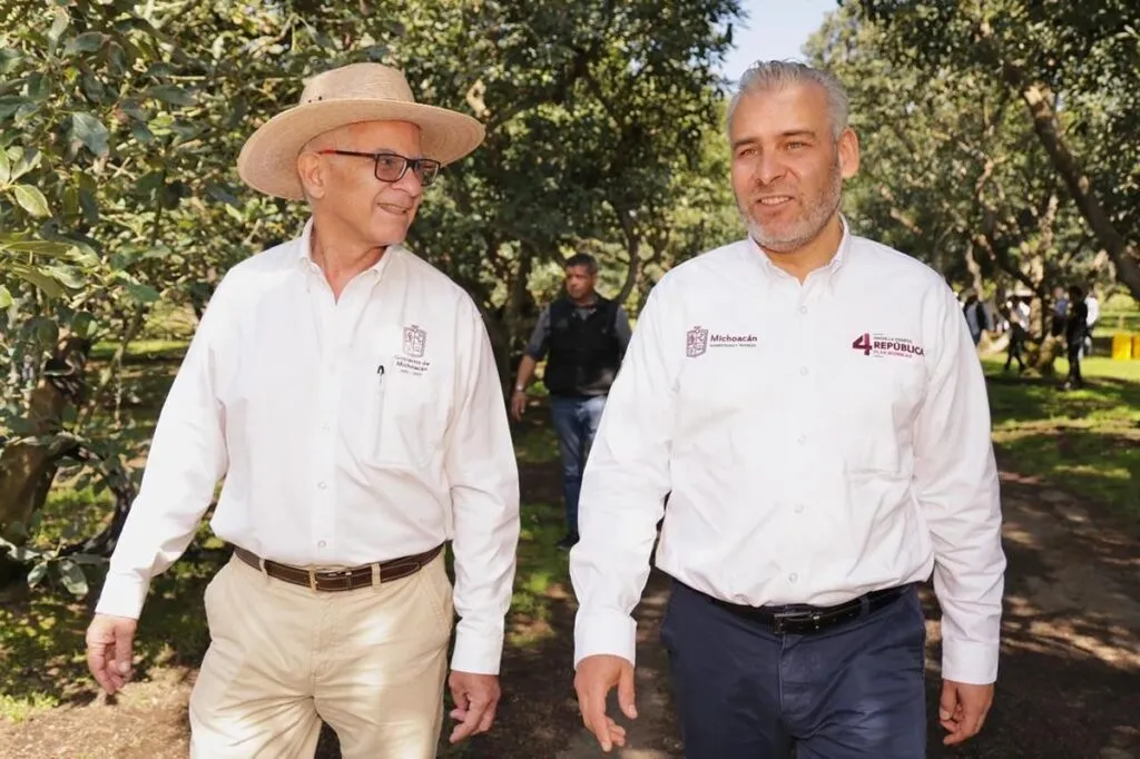 Con más de 3.8 millones de toneladas, Michoacán lidera producción nacional de aguacate, limón y berries