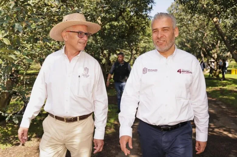 Con más de 3.8 millones de toneladas, Michoacán lidera producción nacional de aguacate, limón y berries