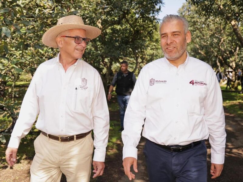 Con más de 3.8 millones de toneladas, Michoacán lidera producción nacional de aguacate, limón y berries
