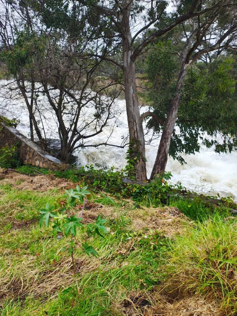 Conagua aumenta desfogue en presa de Cointzio, sin riesgo 2