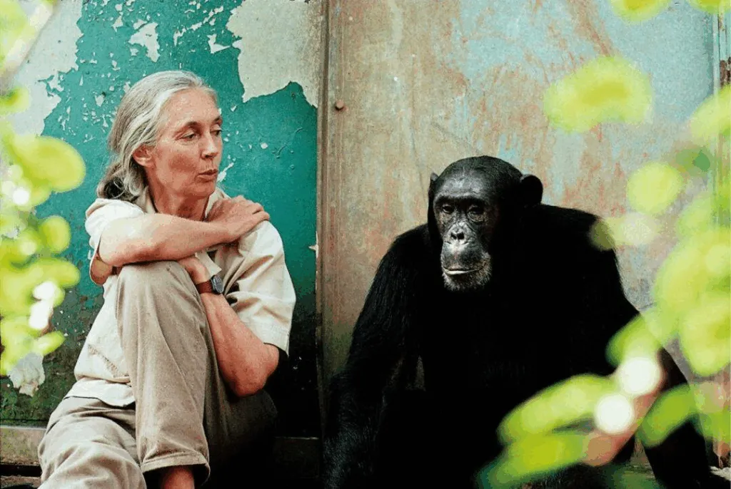 confirman que Jane Goodall falleció por paro cardiaco