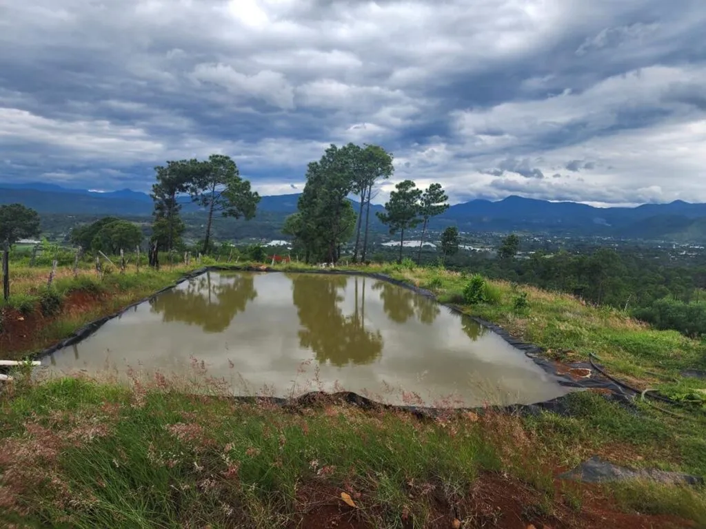 Cumplimenta FGE cateo en predio relacionado con delito ambiental en Ziracuaretiro