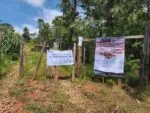 Cumplimenta FGE cateo en predio relacionado con tala ilegal e incendio forestal en Charo