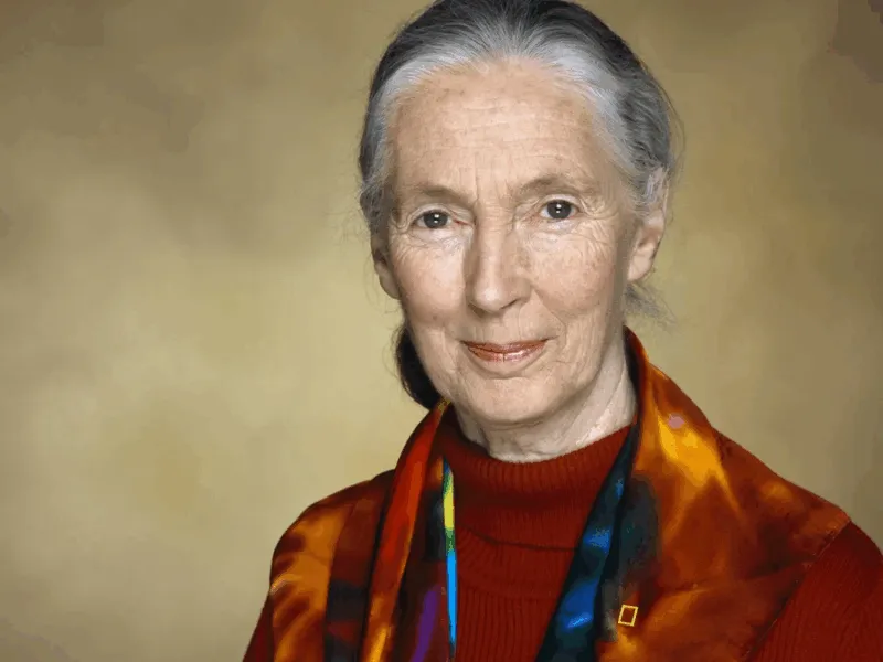 Dan a conocer la causa oficial del fallecimiento de Jane Goodall