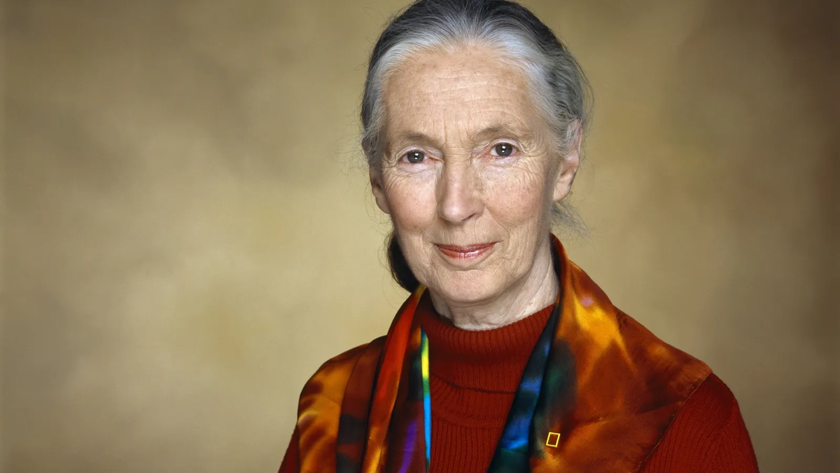 Dan a conocer la causa oficial del fallecimiento de Jane Goodall