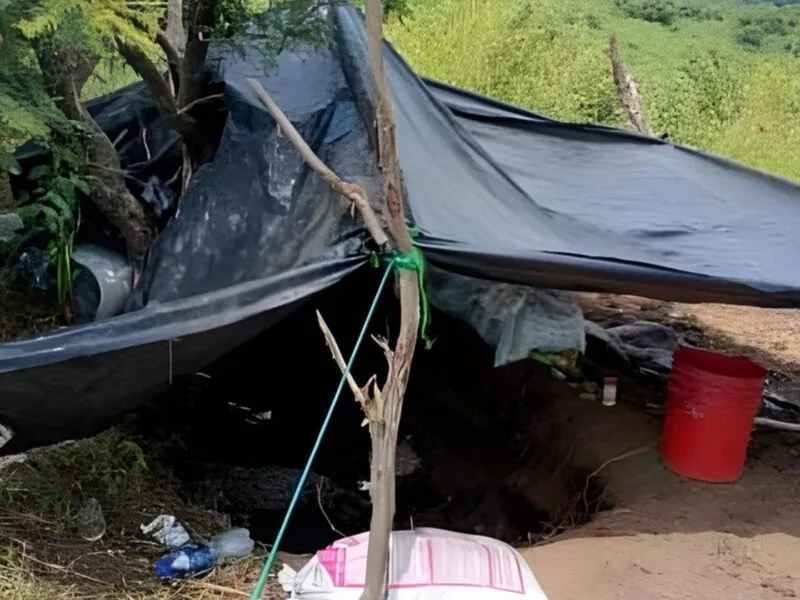 Destruyen campamentos en Parácuaro Michoacán