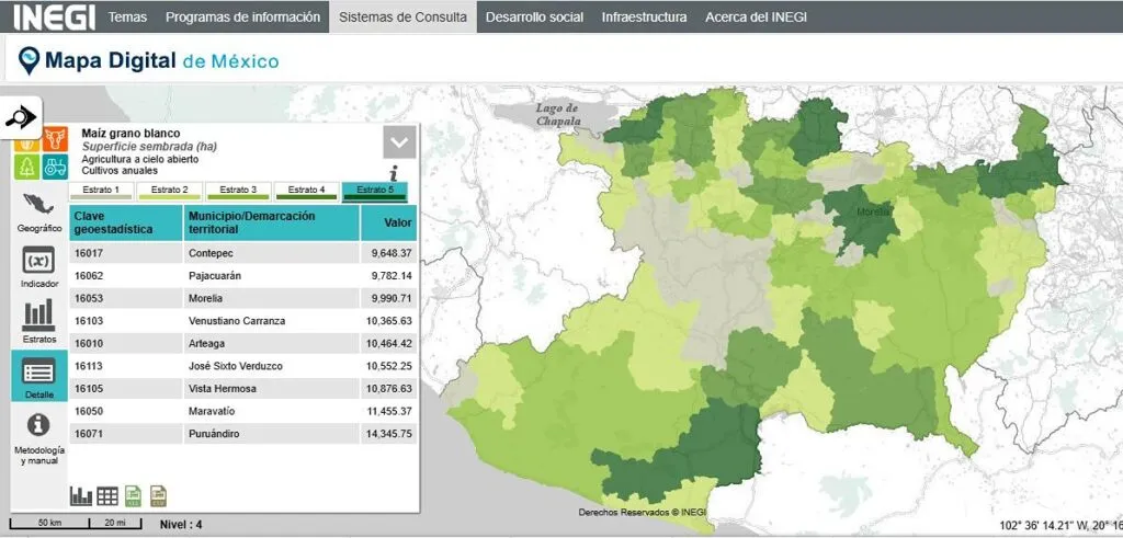 En Michoacán, 10 mil hectáreas destinadas a la producción del maíz: INEGI-1