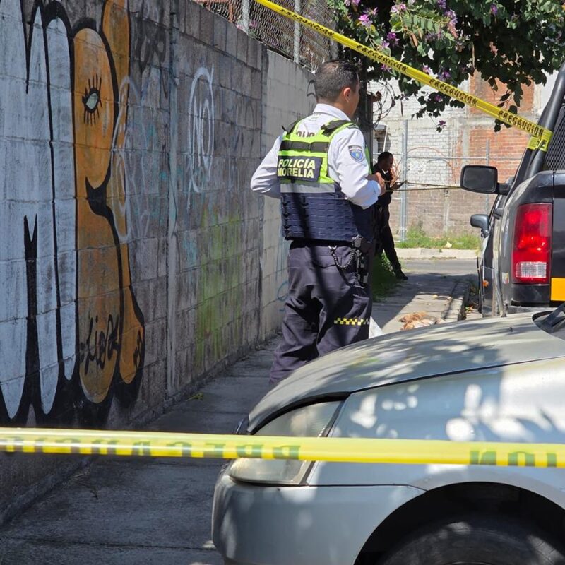 En Morelia; sujeto arroja un costal con cinco cachorritos muertos