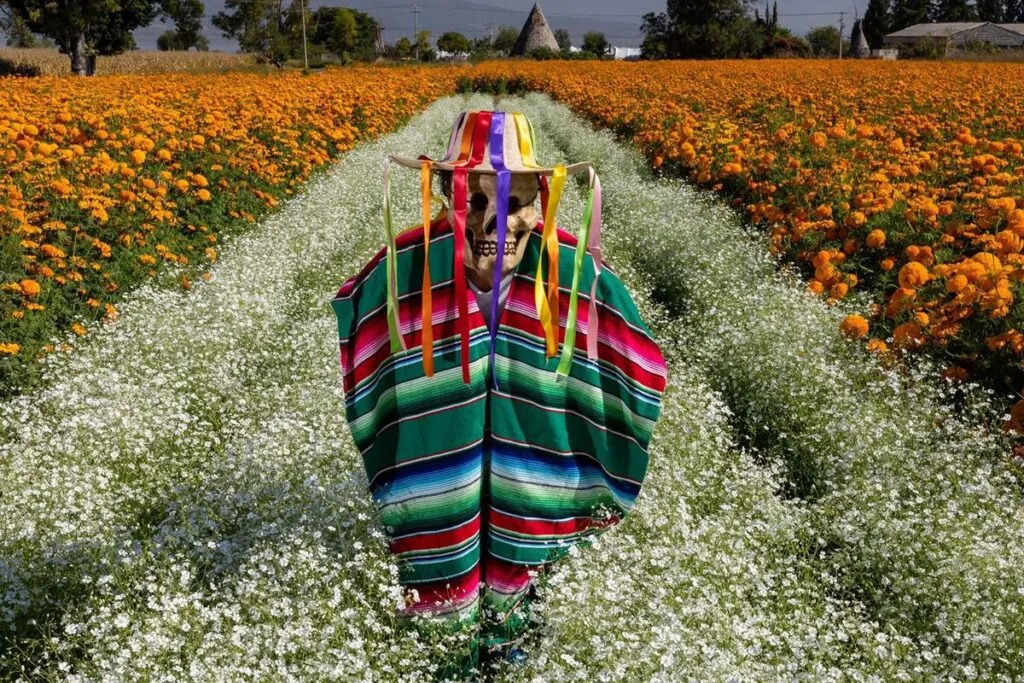 Festival de las Flores de Copándaro
