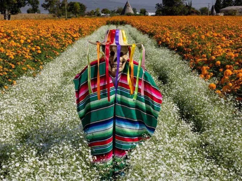 Festival de las Flores de Copándaro