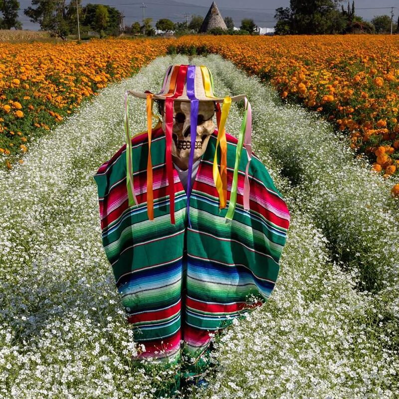Festival de las Flores de Copándaro prepara un fin de semana lleno de tradición y color