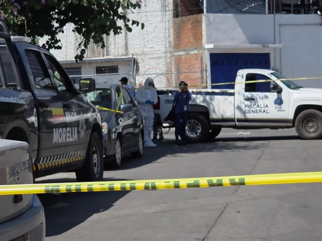Hallan costal con 5 cachorritos muertos en Morelia