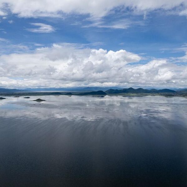 Inicia programa para rehabilitar más de 60 hectáreas del lago de Cuitzeo: Compesca