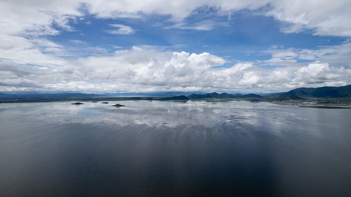 Inicia programa para rehabilitar hectáreas del lago de Cuitzeo: Compesca