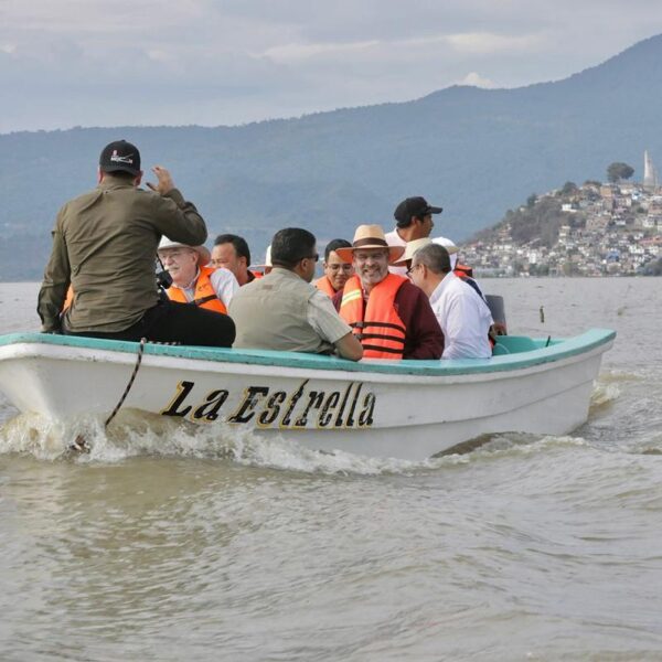 Bedolla impulsa la conservación del lago de Pátzcuaro con la liberación de más de 80 mil peces