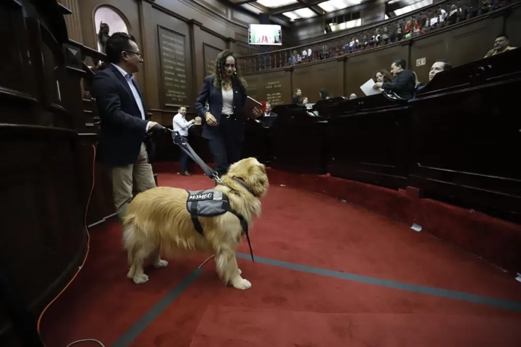 libre desplazamiento con animales de asistencia