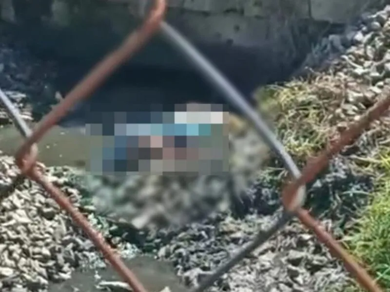 Localizan el cadáver de un hombre desmembrado en la colonias Aquiles Serdán de Morelia