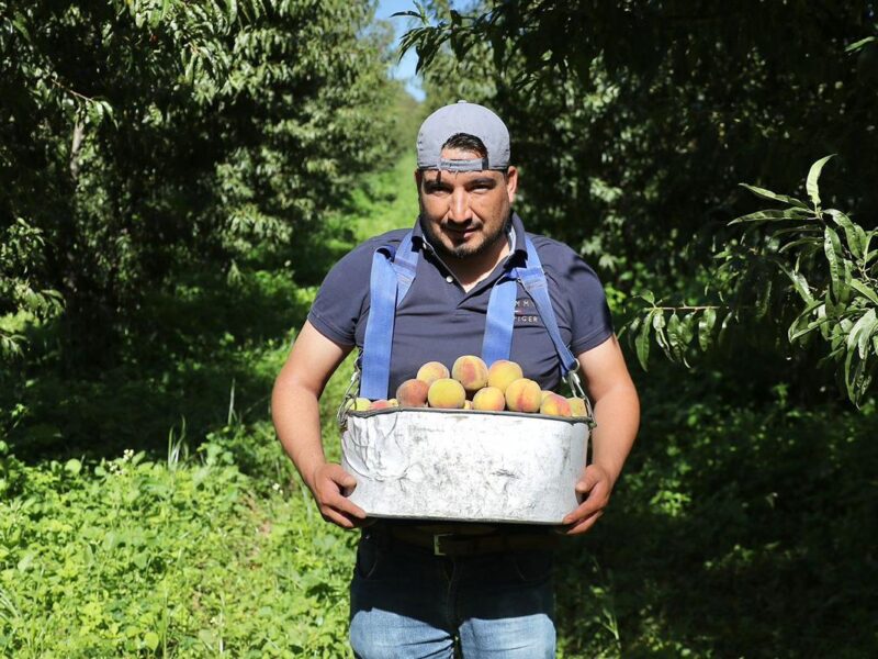 Michoacán avanza en empleo formal con casi 500 mil trabajadores afiliados al IMSS: Bedolla