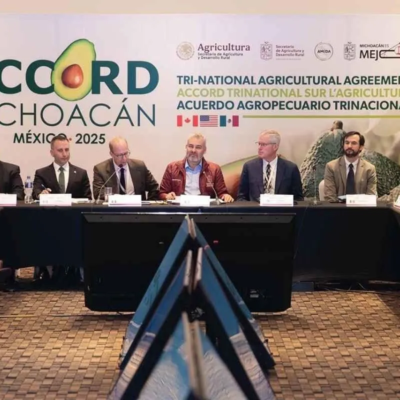 Michoacán fortalece su papel agrícola en el nuevo Acuerdo Agropecuario Trinacional del T-MEC: Bedolla