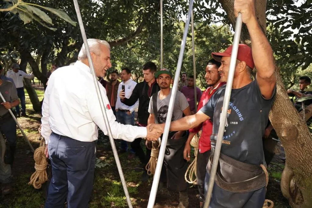 Michoacán lidera producción nacional de aguacate, limón y berries