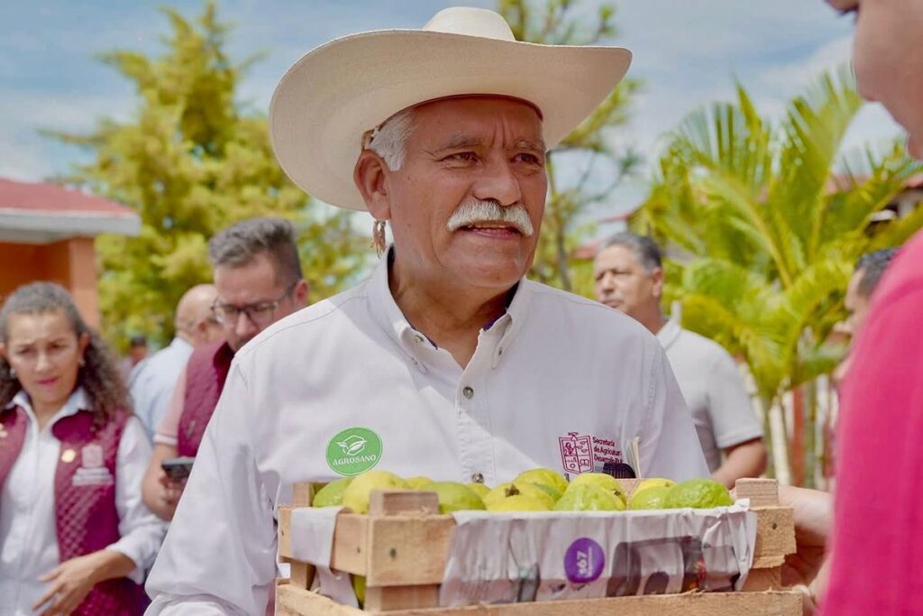 Michoacán, primer lugar nacional en guayaba