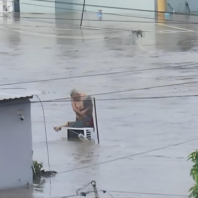 Fallece Doña Elodia, símbolo de resiliencia en Veracruz