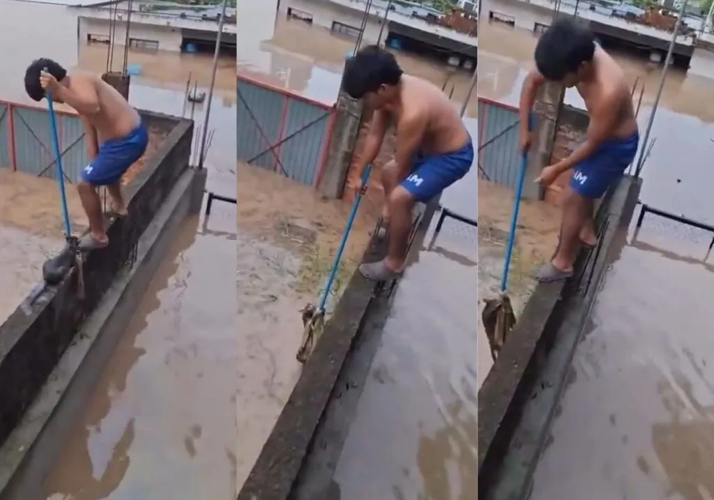 Niño se vuelve viral y héroe al rescatar a un gatito durante inundaciones en Veracruz