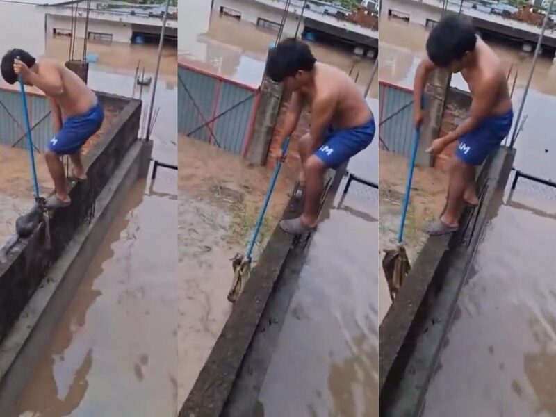 Niño se vuelve viral y héroe al rescatar a un gatito durante inundaciones en Veracruz