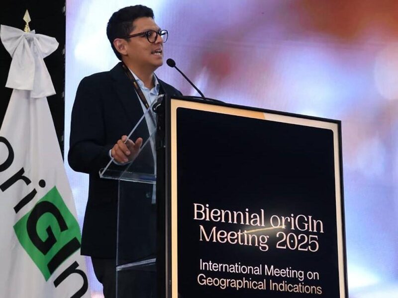 Nombran a Cástor Estrada Robles, director de Casart, como vicepresidente de oriGIn