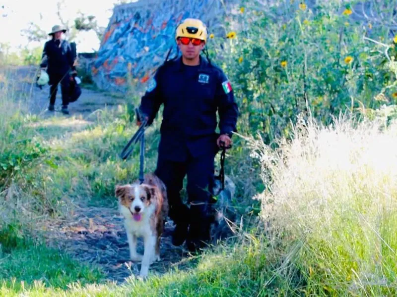 Refuerzan operativo para encontrar a Dámaso Cázares, desaparecido en Tiquicheo
