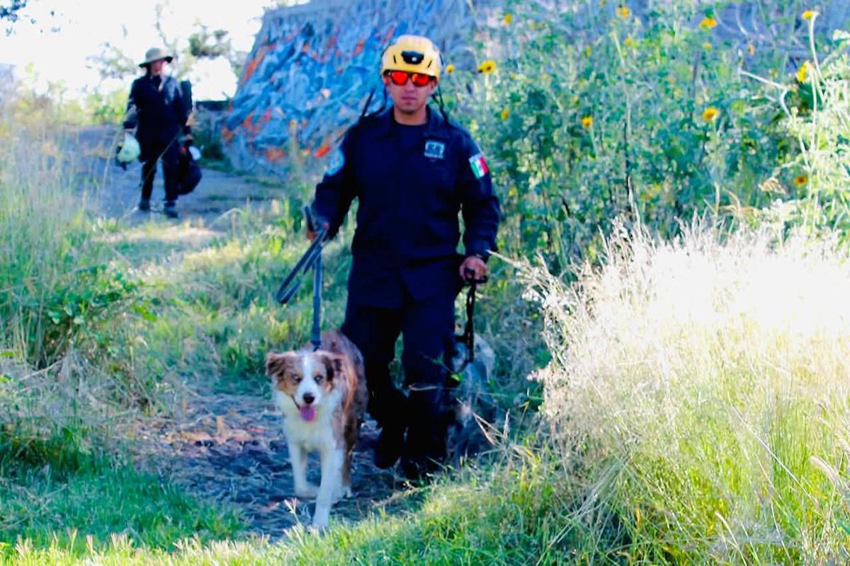 Refuerzan operativo para encontrar a Dámaso Cázares, desaparecido en Tiquicheo