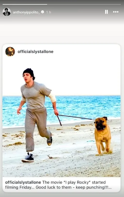 Sylvester Stallone nueva película Rocky