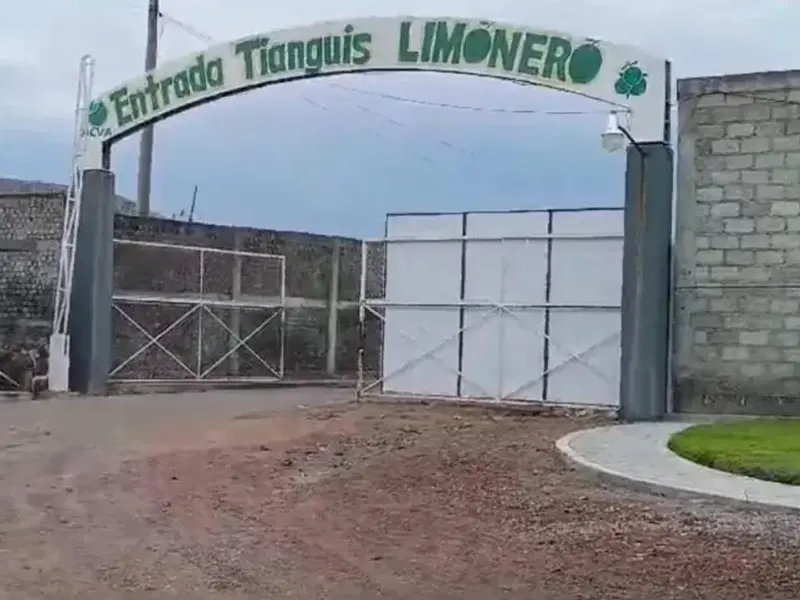 Asesinato de líder limonero de Apatzingán evidencia ineficacia de SSP y FGE en combate a la extorsión
