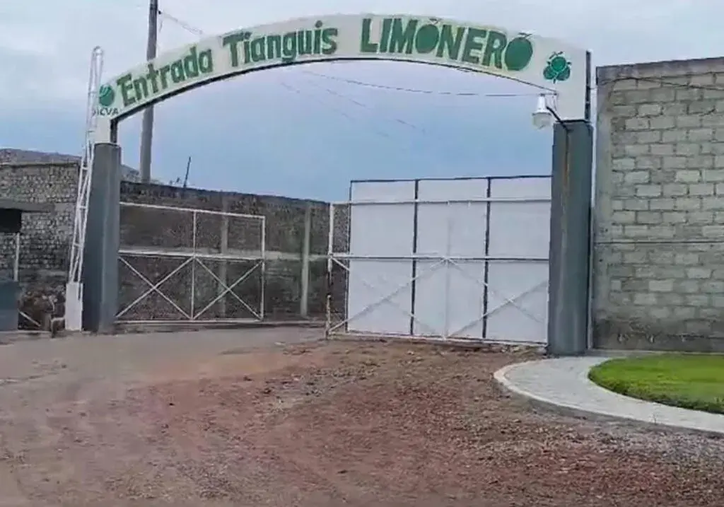 tianguis limonero de apatzingán michoacán