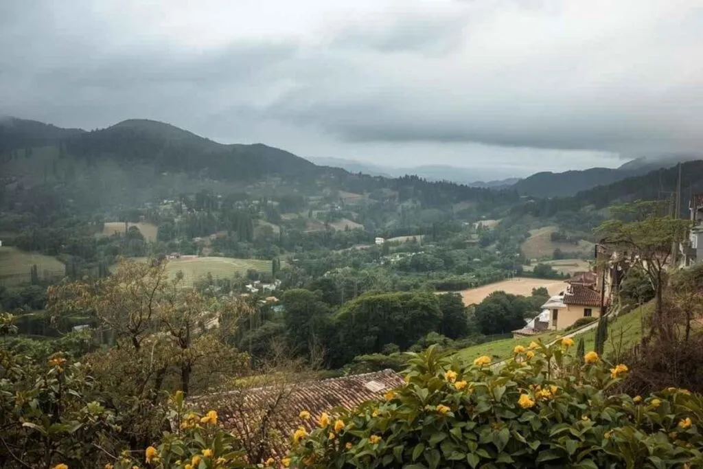 Tormenta tropical Priscilla provocara lluvias en Michoacán