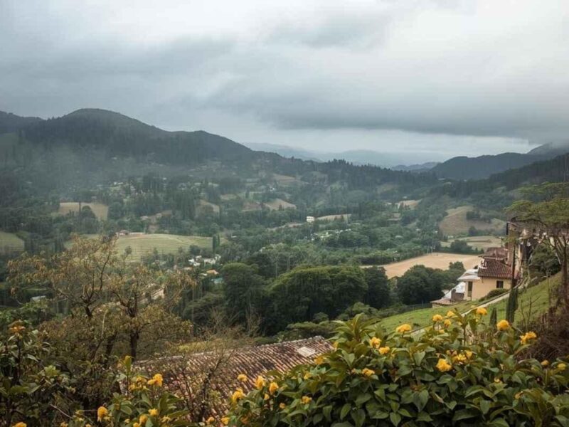 Tormenta tropical Priscilla provocara lluvias en Michoacán