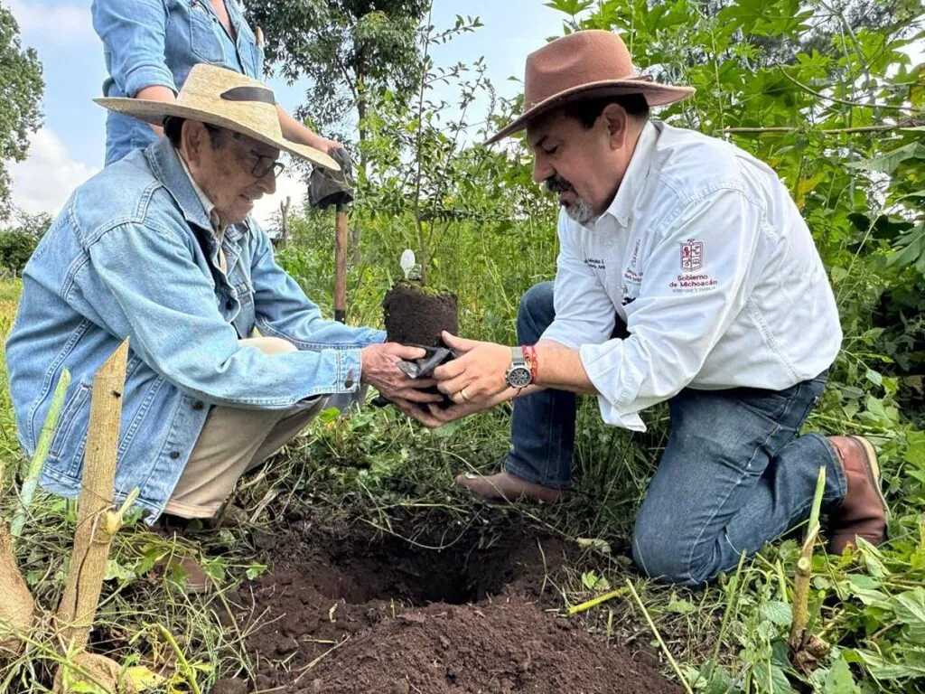 Zapote prieto: rescate y reforestación en Michoacán