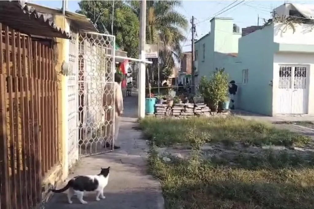 Asesinan a "El Hebreo" al interior de su domicilio en Zamora, Michoacán